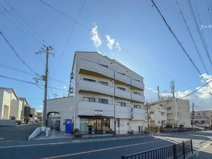 ビアンコディモーラの画像