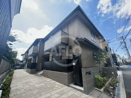 ダンデライオンの画像