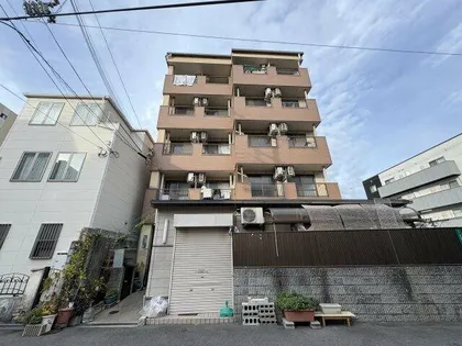 ボナールサジキの画像
