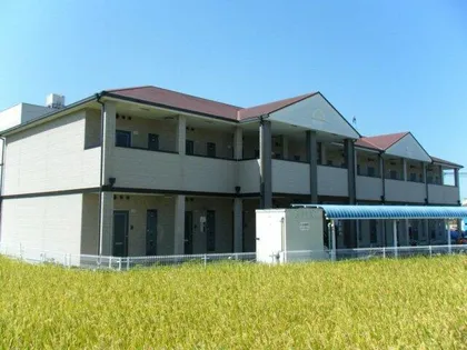 エリカⅡの画像