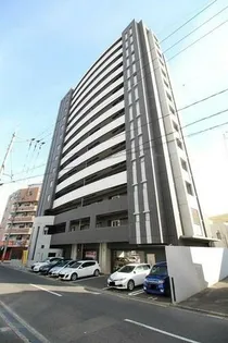フェルトの画像