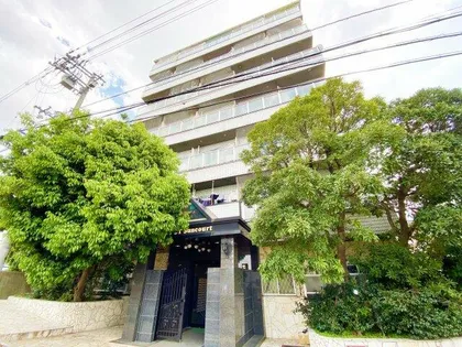 大宝新深江CTサンコートの画像