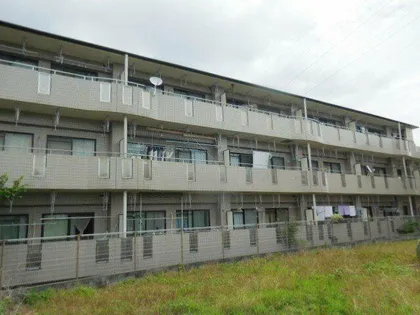 フローラ貴の画像