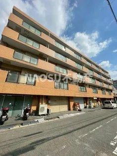 シロハイヌ吉田の画像