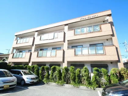 プラムフォレストの画像