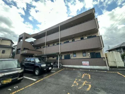 シャルマン21の画像