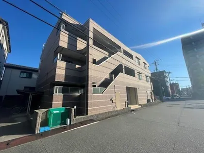 ネオグレースの画像