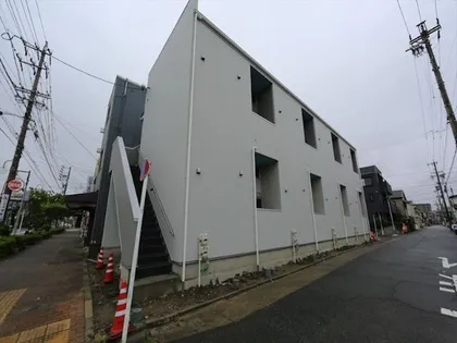 シガースNの画像