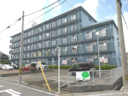 サンライズベルの画像