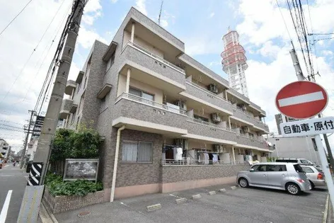 TF215雪見の画像