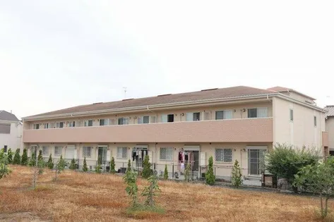 ミリオン志紀の画像