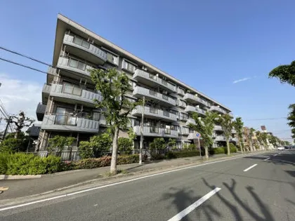 ドルチェ甲子園の画像