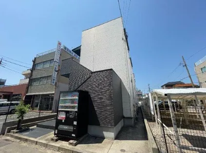 セ ルーニア畑江の画像