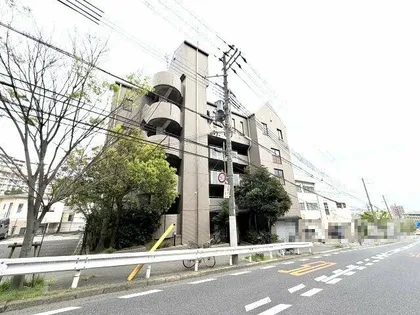 デュコムワイズの画像