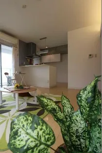 ビアリッツの画像