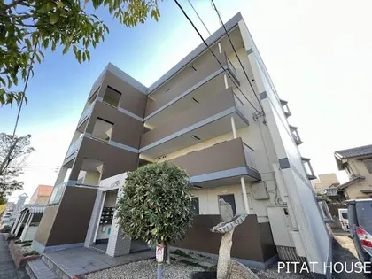 ソフィアライトの画像