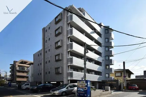 メープルの画像