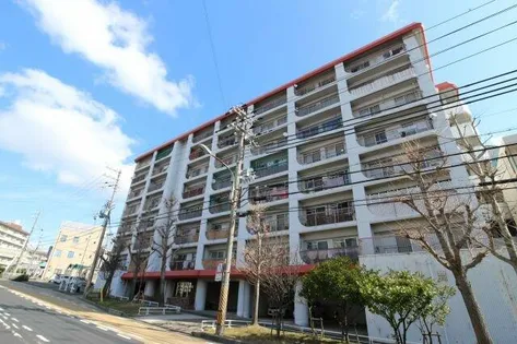 エクセル舞子の画像