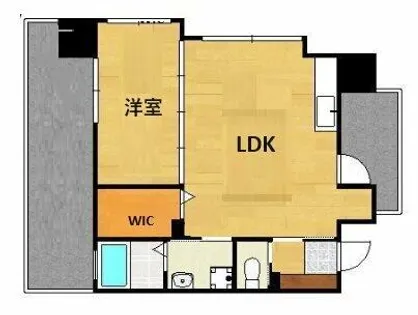 フェルト【6階】の間取り