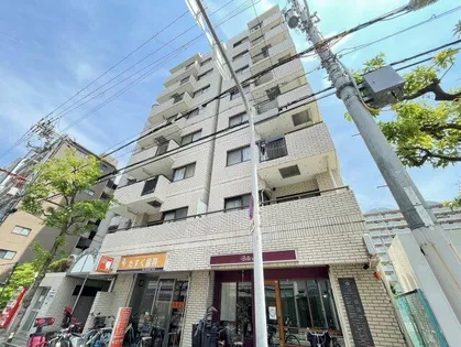 セントポーリア アビコの画像