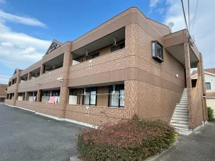 コンフォール山法師の画像