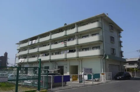 サラスバティ肥子の画像