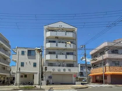 ル パレ将軍の画像