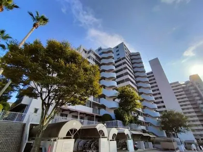 パームスクエアジェームス山の画像