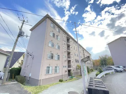 逆瀬川ハイツ3号棟の画像