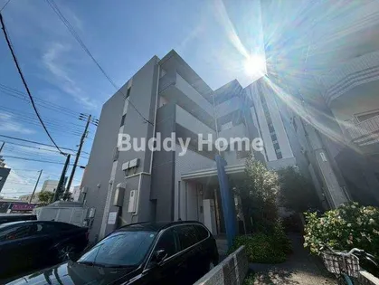 サザングレイスの画像