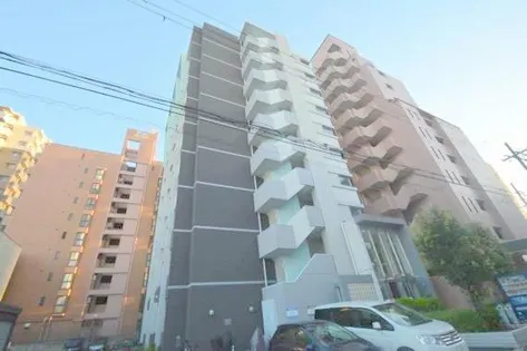 エトワールフィラントの画像