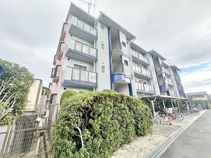 グレープコートの画像