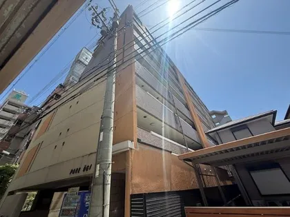 パレオーギの画像