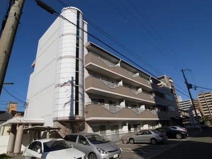 ピュア エレガンスの画像