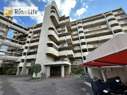 コーポ野村恩智B棟の画像