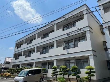 朝宮グリーンライブの画像