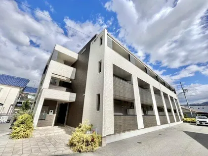 ドミソレイユIIの画像