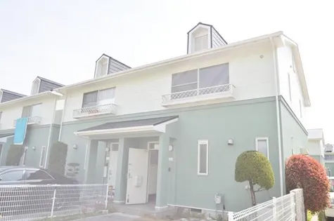 サンザ デ ヤシキの画像