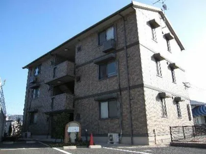 エターナル華の画像