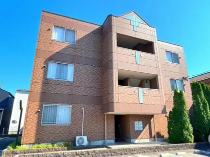 オリエンタルコートの画像