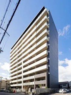 ケイマンの画像