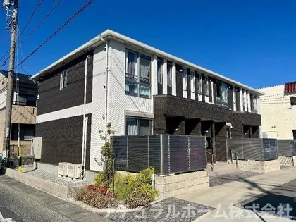 アマリリスの画像