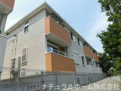 スター ドラゴンBの画像