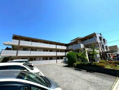 シェラ金剛の画像