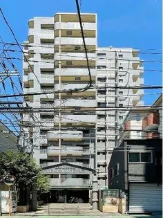 ダイナコート天神アベニューの画像