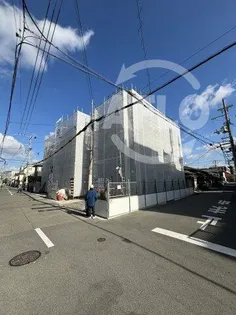 レクタスの画像