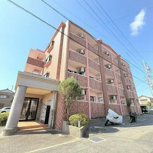 ラナ パラッツォの画像