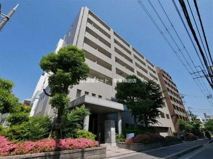 アールエスフラッツ【8階】の外観