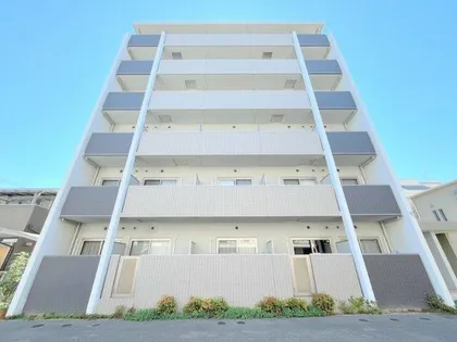 ドルフシィアの画像