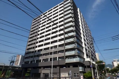 フェルト127の画像